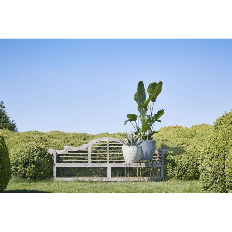 Aletriz Ceramic Pot Planter