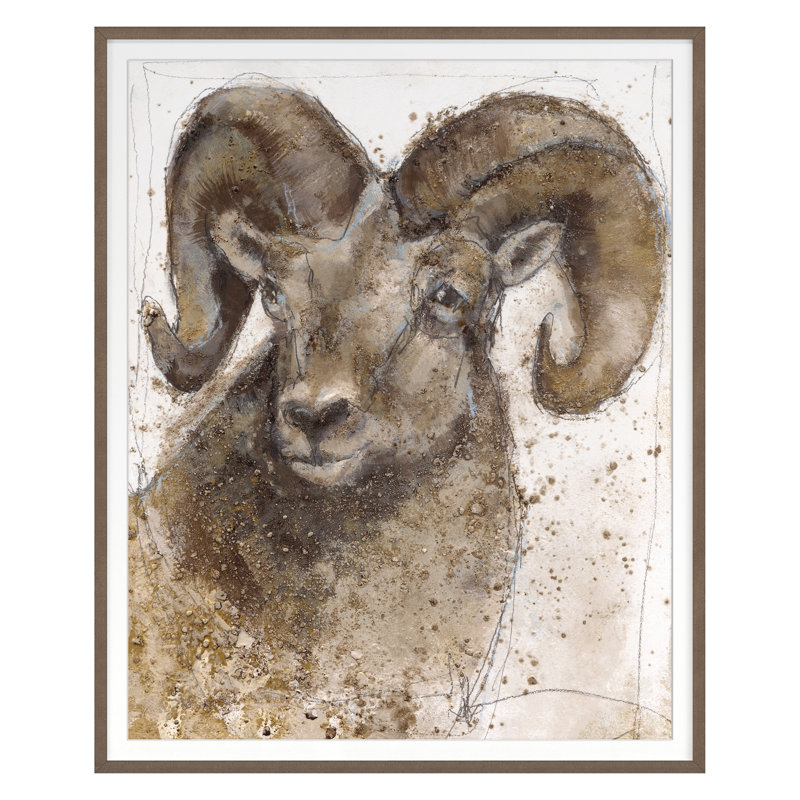 Bighorn Sheep 1 Print by Maeve Harris, 44" H x 36" W x 1.5" D, Walnut Framed