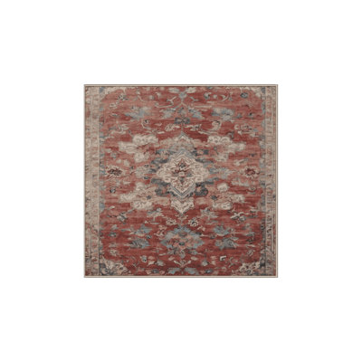 Machine Washable Gray Area Rug
