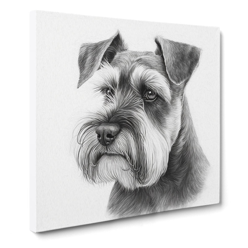 Schnauzer - Wrapped Canvas