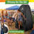 Wakeman Pop Up Pod (L) 3.3ft x (W) 3.3ft x (H) 6.2ft - Portable Privacy Tent, Camping Tent-113792966