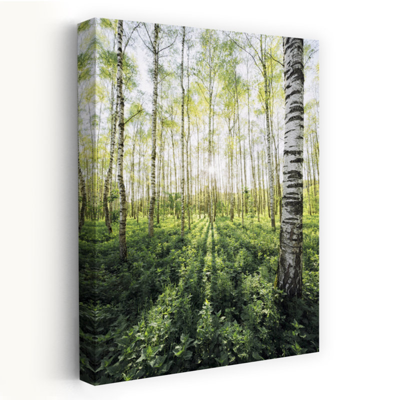 Impression d'art mural Birch Grove, 24" H x 16" W