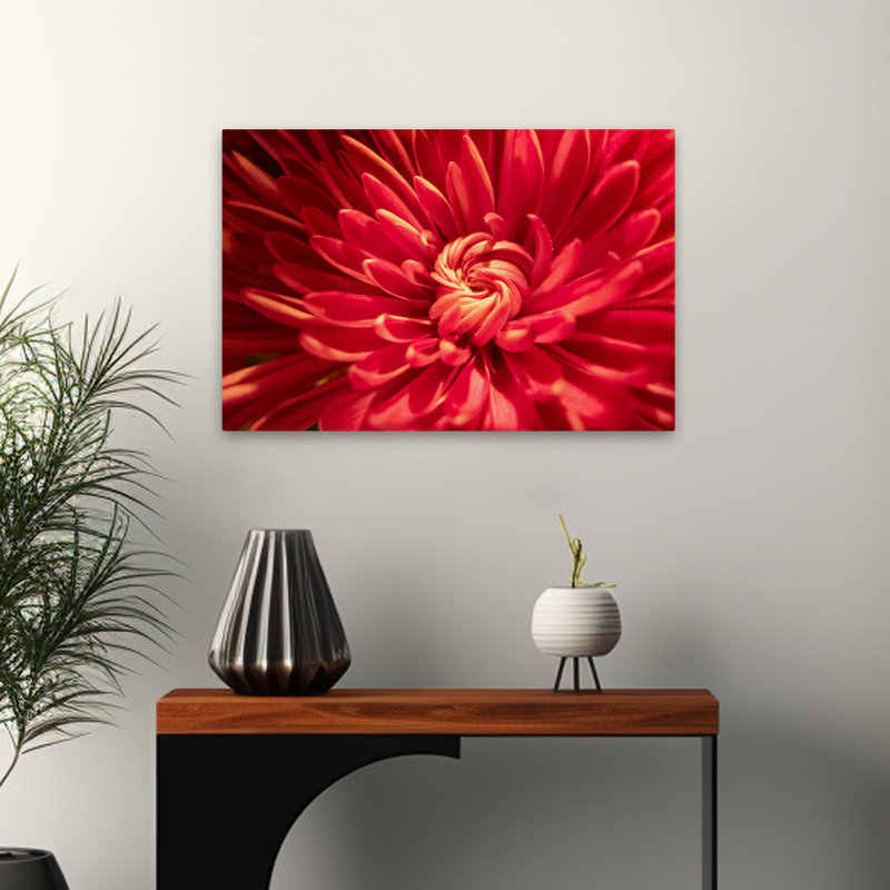 «Red Petal Serenade II», photographie florale et botanique contemporaine, H 24 po x l 16 po