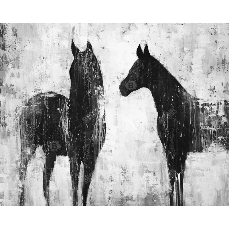 Chevaux noirs et blancs - reproduction encadrée mate pour la décoration intérieure