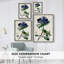 AntiqueFloralFolioIV, reproduction encadrée - bois massif 2768839-362104784