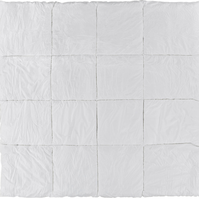 Duvet moyen, Très grand