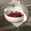 Belfry Kitchen Hudson Plastic Colander