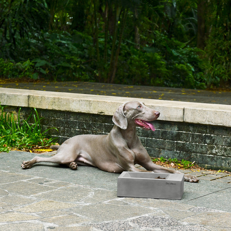 Duke Pet Bowl, Dark Gray
