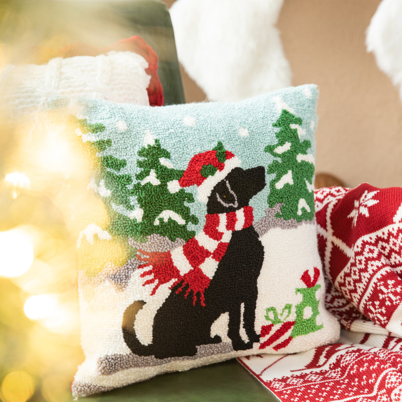 Throw Pillow