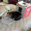 Photos des clients 1 de 1