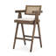 Indie Medium Brown w/ Cane Counter Stool-533918991
