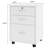 Avalina 18.8'' Wide 3 -Drawer Mobile File Cabinet-917723580