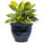 Berlina Round Imperial Ceramic Outdoor Planter