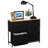 Saasha 5 Drawer Storage Drawer