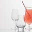 Fortissimo Crystal Red Wine Glass-90579391