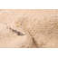 Tapis beige Looma 7 pi 9 po x 10 pi 1 po
