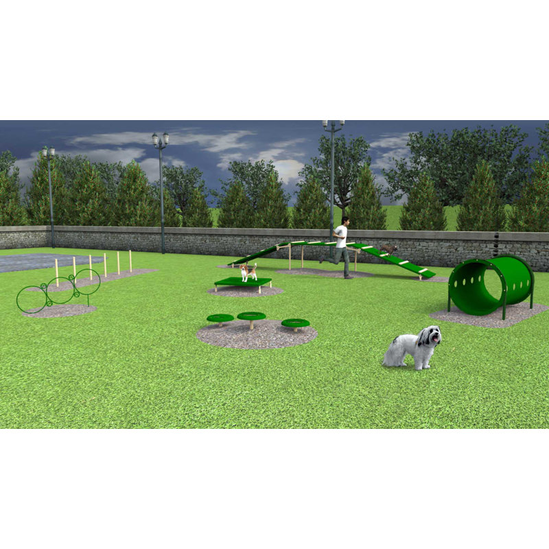6 Piece Small Dog Advanced Barkpark Kit