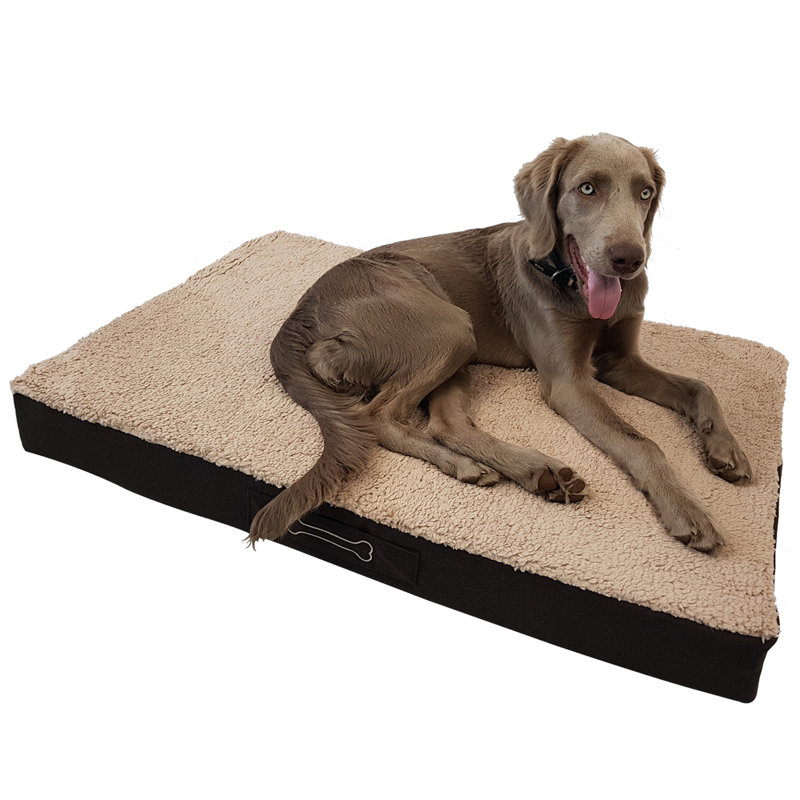 Butcher Orthopedic Polyester Pet Bed, Medium (79cm W x 60cm D)