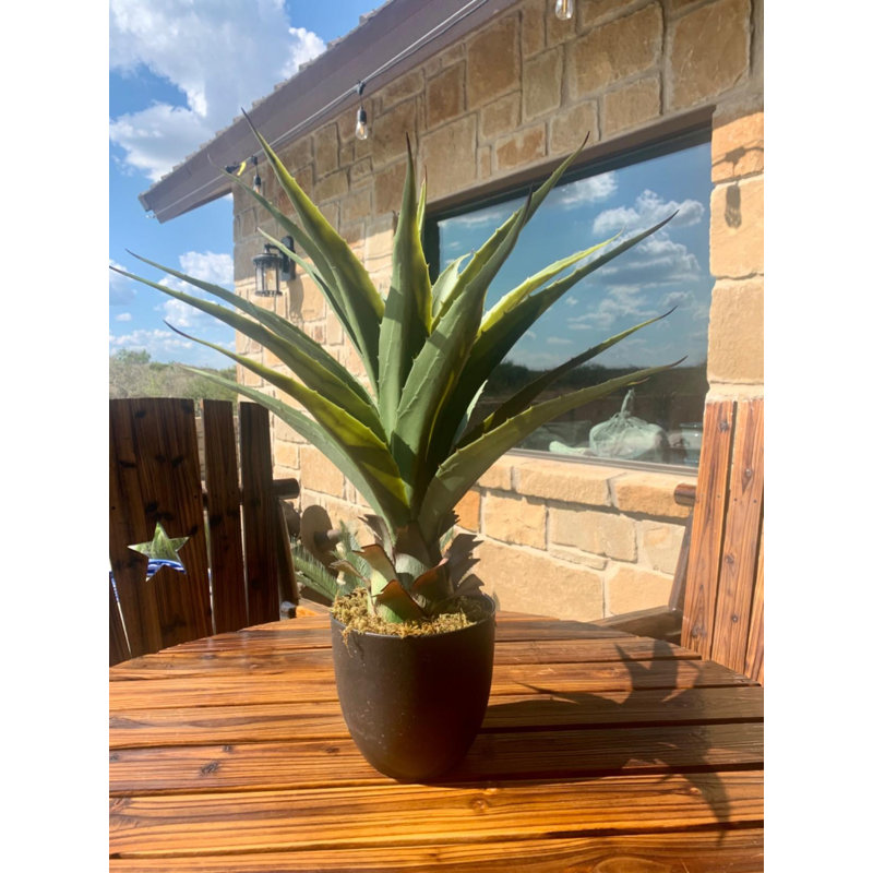 Agave plante artificielle avec pot, H 27 po x l 6 po x P 7 po