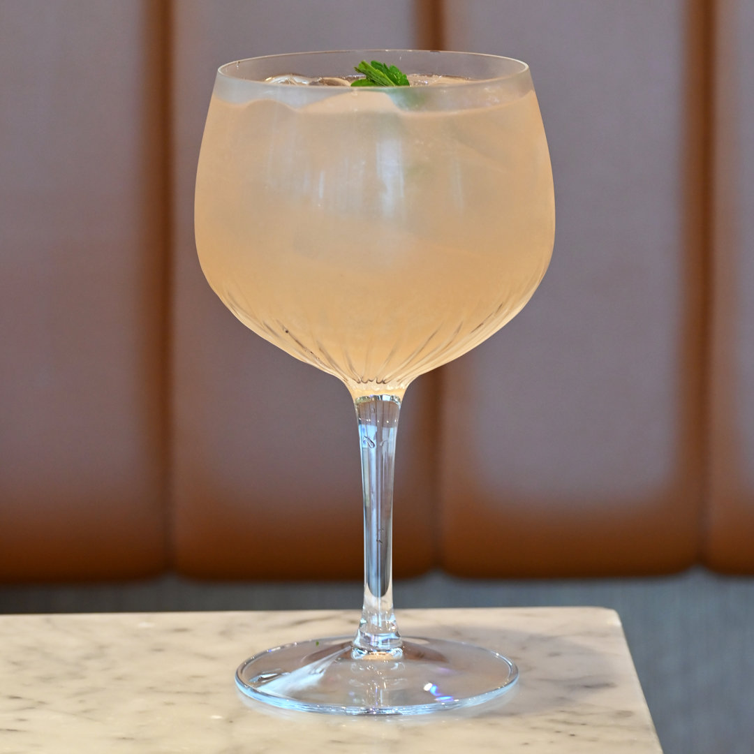 Mixology 27 oz. Spanish Gin & Tonic / Sangria Glasses (Set of 4) Luigi Bormioli