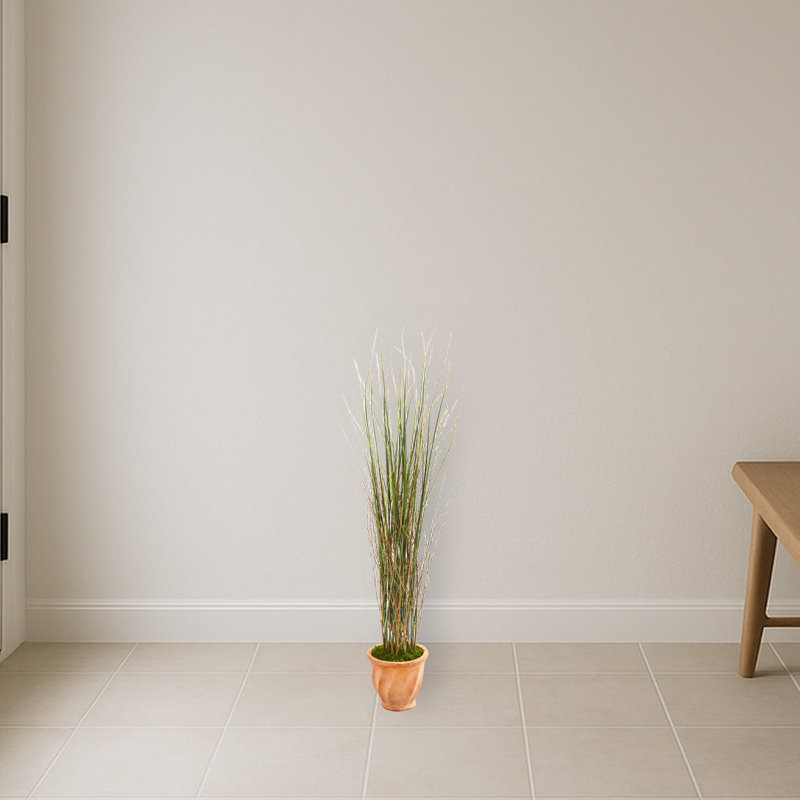 Grass and Bamboo Plant in Terra-Cotta Planter