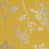 Summer is out of stock