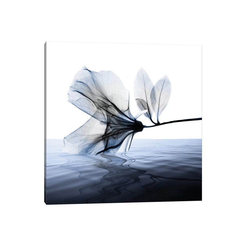 Ocean Scent I by Albert Koetsier - Print on Canvas, Wrapped Canvas, 45.72 cm H x 45.72 cm W x 1.91 cm D