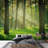 Forest Nature Landscape Peel & Stick Clear Border-88769641