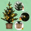 Lighted Artificial Pine Christmas Tree