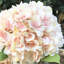 Arrangement de hortensia en vase-1487296951