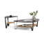 Dino Coffee Table-1304914238-1314761196