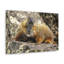 No Frame Print on Canvas-874583426
