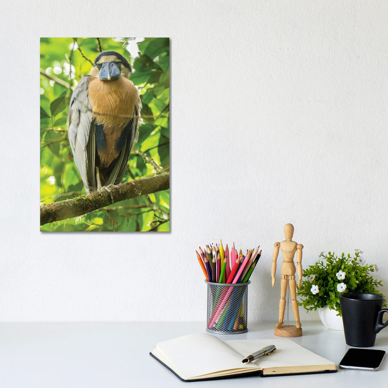 Costa Rica by Jaynes Gallery - Wrapped Canvas Gallery-Wrapped Canvas Giclée, 30.48cm H x 20.32cm W