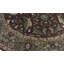 Wool Oriental Area Rug