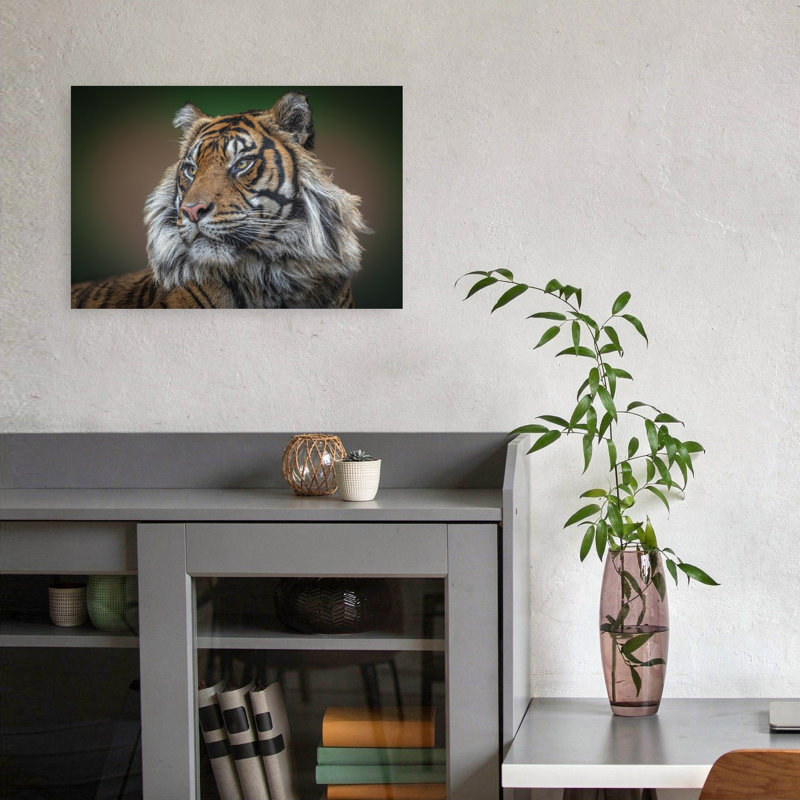 Wild Tiger Gaze Contemporary Cat Tiger Wall Art Print by Jeffrey C. Sink - 1 Piece Wrapped Canvas Wall Art