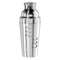  OGGI Mini Cocktail Shaker 10oz - Stainless Steel - Ideal Single  Serve Martini Shaker, Great Small Size Suitable for Mini Bar, On the Go,  Travel, RV, Camping: Stainless Steel Martini Shaker