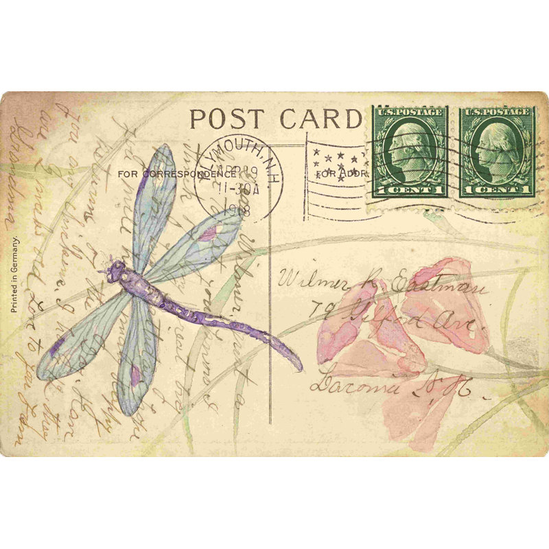 Carte postale libellule I, H 12 po x l 18 po