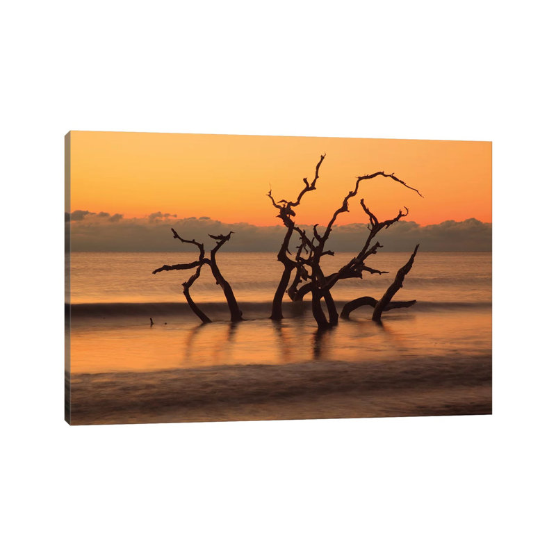 USA, Georgia. Jekyll Island, Driftwood Beach At Sunrise. by Joanne Wells - Wrapped Canvas Print, 66.04 cm H x 45.72 cm W