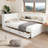 Full Size Wood Daybed with Storage Shelves, USB, LED, and Trundle-389937450