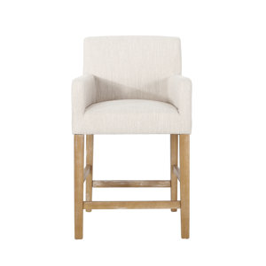 https://assets.wfcdn.com/im/67026511/resize-h300-w300%5Ecompr-r85/2172/217256267/Ashford+26%27%27+Counter+Stool.jpg