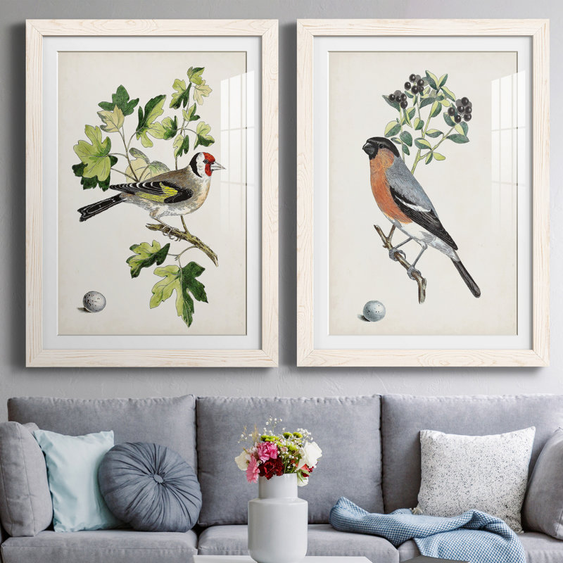 Oiseau antique, botanique et œuf III - ensemble de 2 reproductions d'art sur papier encadré, H 31,5 po x l 47 po x P 1,5 po