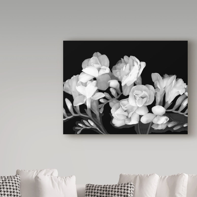 «Freesia Iii Black and White» par Dosta, impression sur toile tendue, H 18 po x l 24 po x P 2 po
