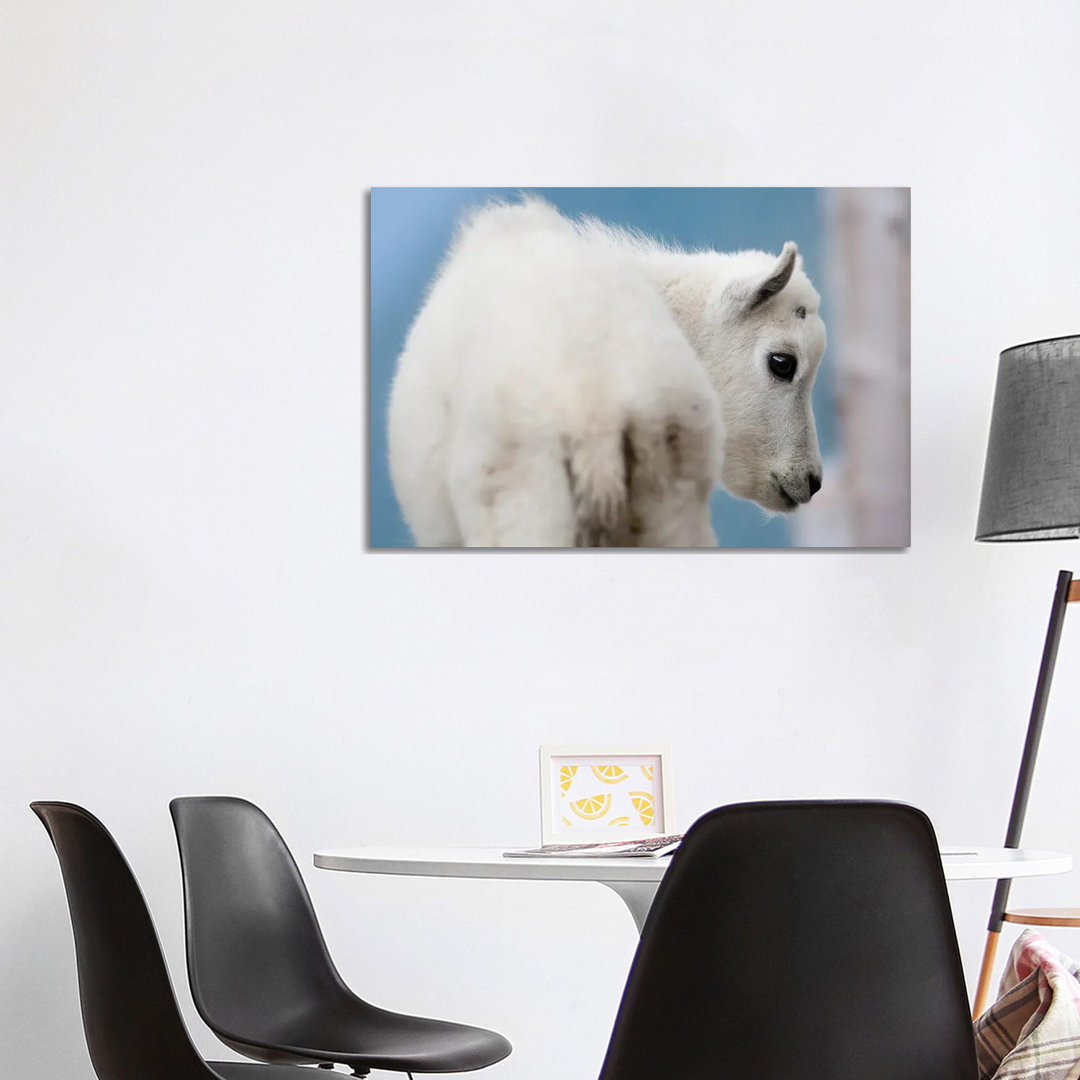 Mountain Goat by Mateusz Piesiak - Wrapped Canvas Print