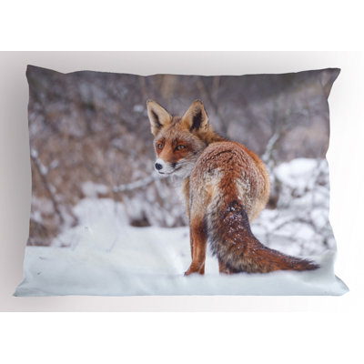 Taie décorative fox Country