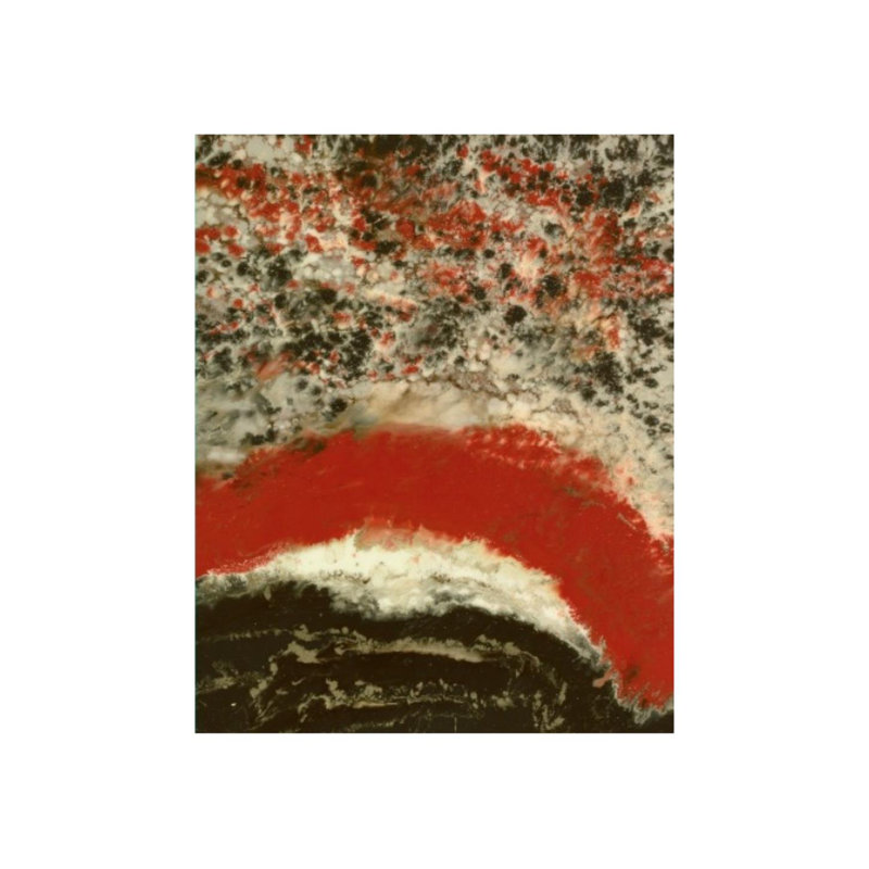 Crowned Print by Blakely Bering, Outdoor, 50" H x 40" W