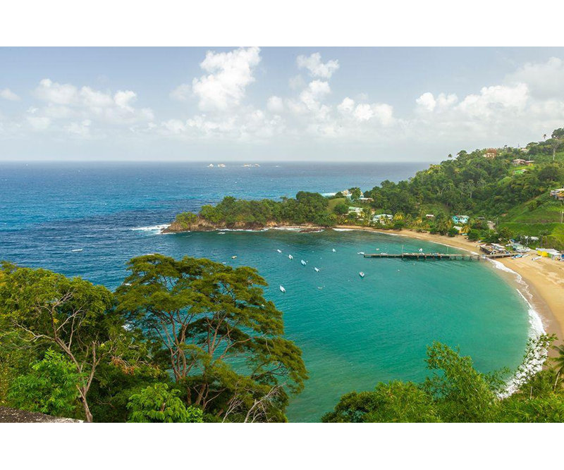 Art sur toile tendue avec galerie Jaynes Gallery: Caraïbes, Tobago, parlatuvier, baie et paysage de plage, H 17 po x l 24 po