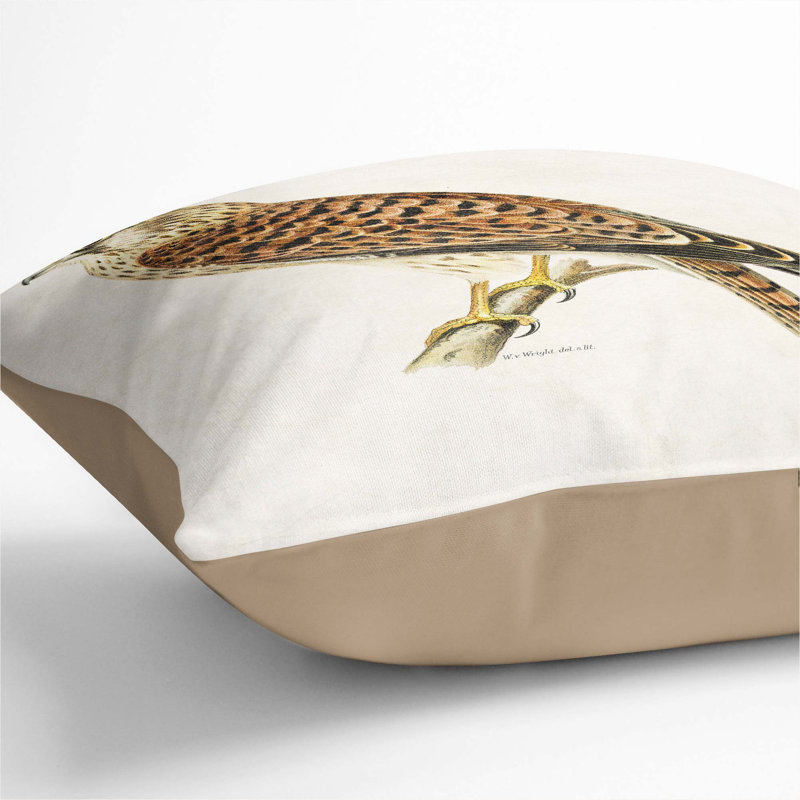 A Common Kestrel Square Throw Cushion, Stone, 55 x 55 cm
