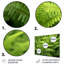 Plants & Flowers Wall Decor on Metal