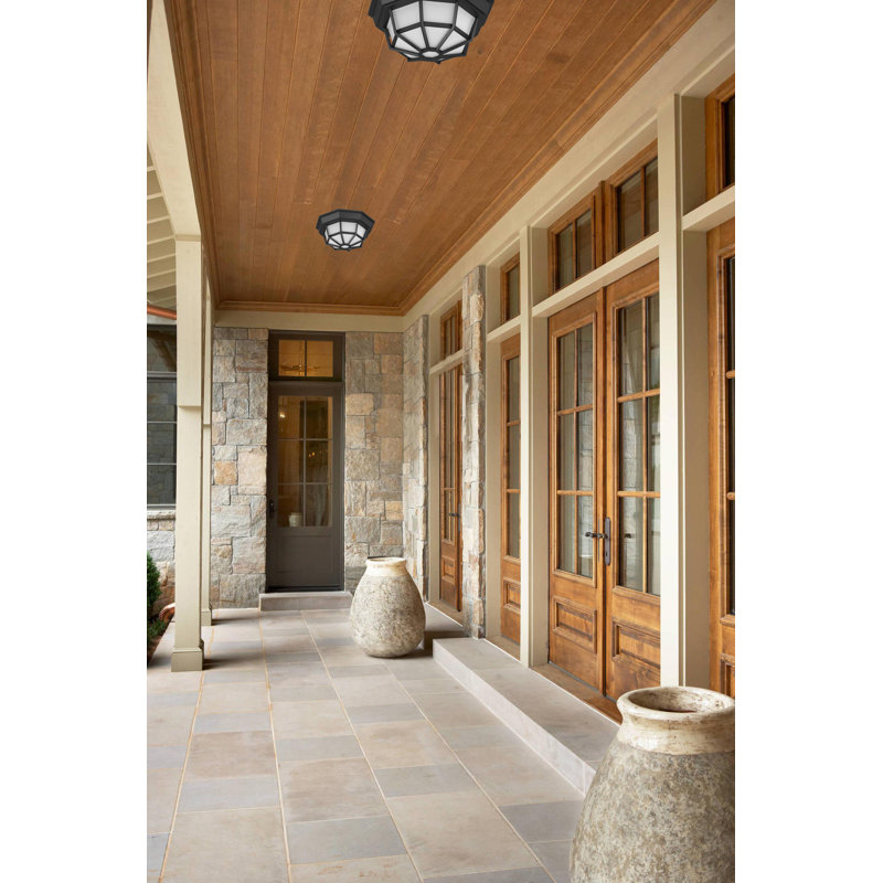 2-Light Outdoor Black Caged Geometric Cast Aluminum Flush Mount with Frosted Glass , Black