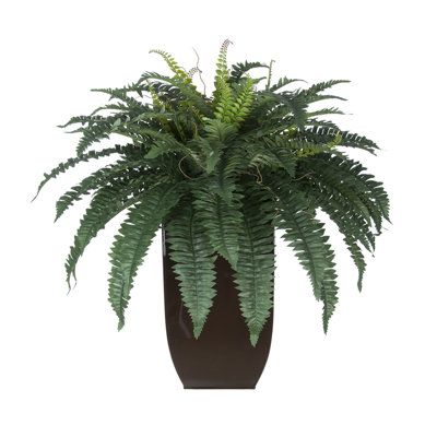 Fougère artificielle 12 "en pot